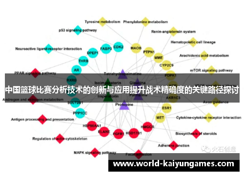 中国篮球比赛分析技术的创新与应用提升战术精确度的关键路径探讨